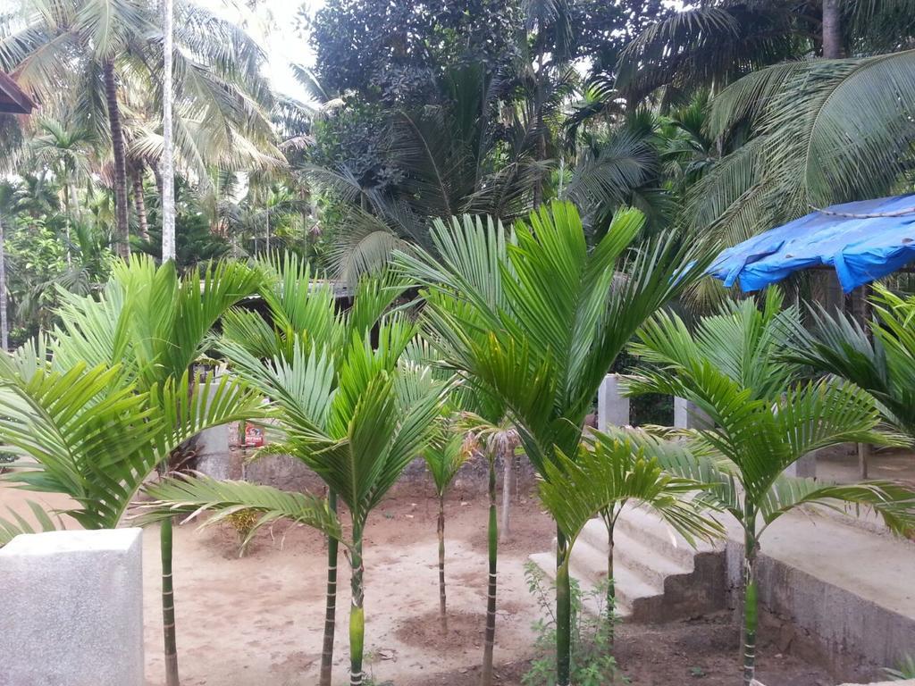 Diveāgar Tendulkar Beach Resort المظهر الخارجي الصورة